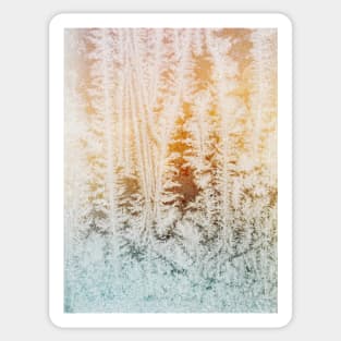 Wintertime - Close Up of Beautiful Ice Crystals in Old Window Sticker